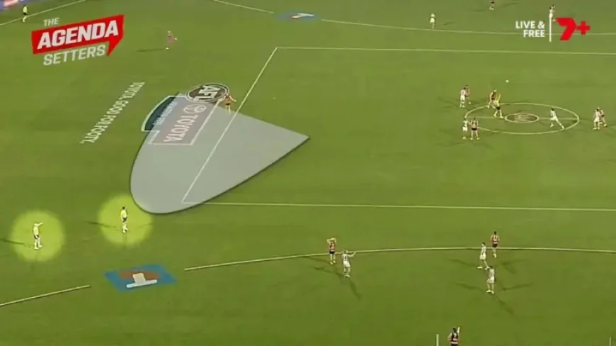 Taylor Walker and the late umpiring error that left Adelaide asking the wrong question