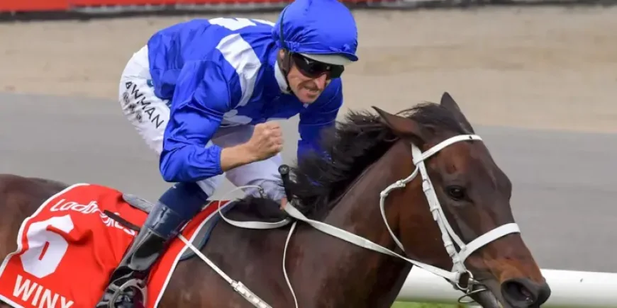 Winx Foal Quinceanera Retired: The $10 Million Filly That Never Reached the Track