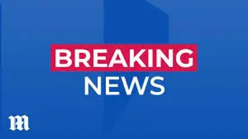 Liam Bartlett and Chris Bowen clash as press conference turns tense