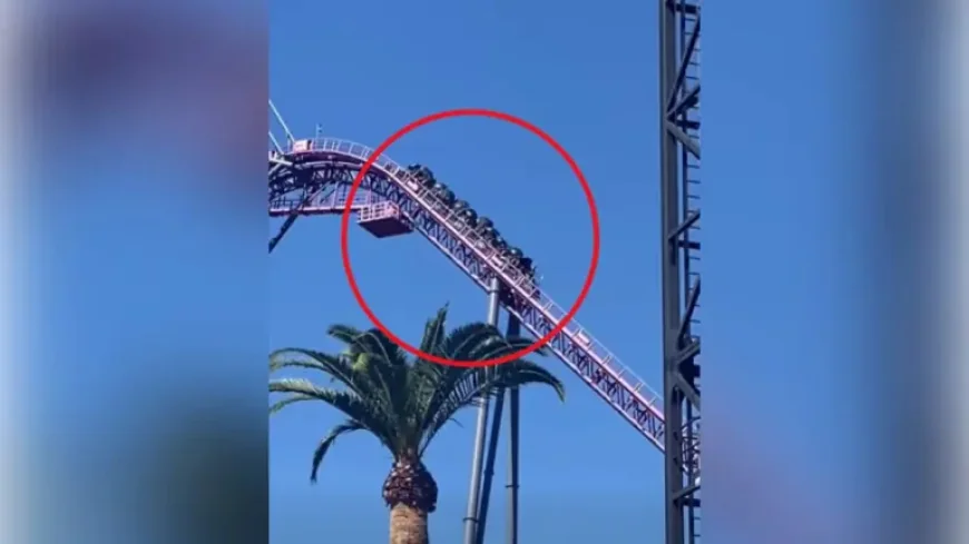 Warner Bros. Movie World after the shift: what the rollercoaster stoppage means