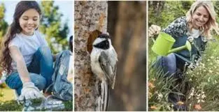 Richmond Hill and the 3-way airport fight that could decide Bryan County’s future