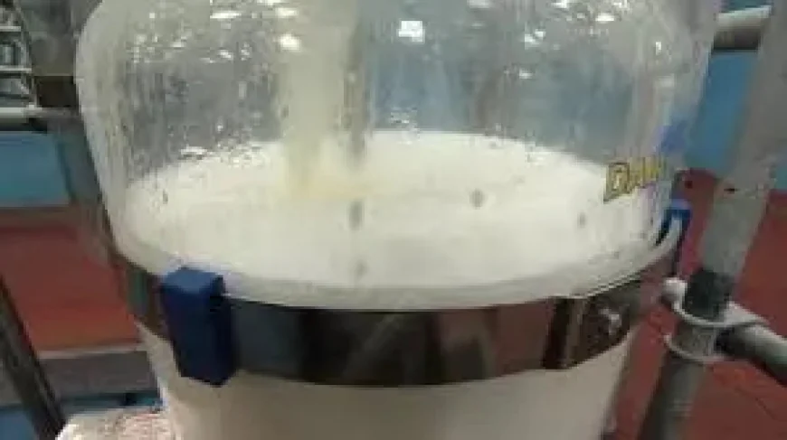 M50 gridlock puts Dublin commuters face to face with the cost of fuel protest