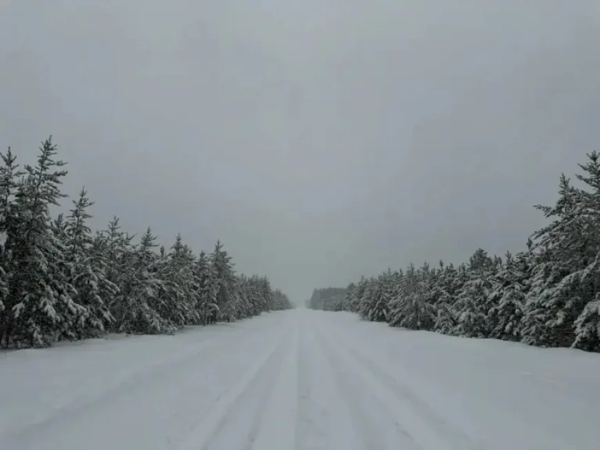 Snowsquall Warning as Spring Storm Keeps Northern Minnesota on Alert