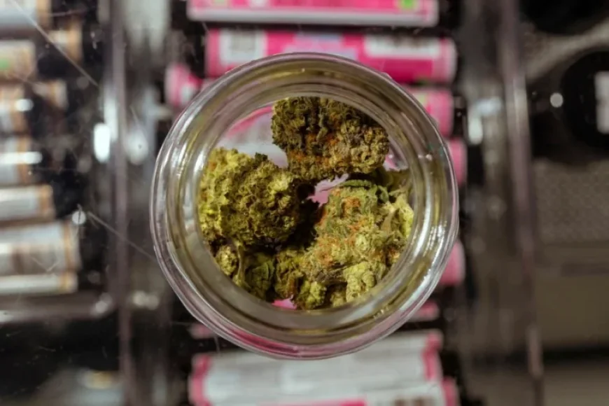 Texas Hemp Leaders Challenge Smokeable Ban in Lawsuit