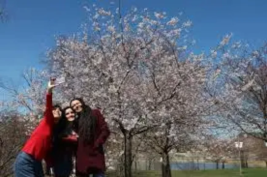 Bloom in Jackson Park as 2025 approaches