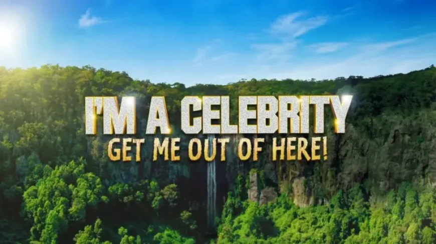 Ashley Hamilton Was Hospitalized For A Suspected Overdose After Los Angeles AirBnB Emergency