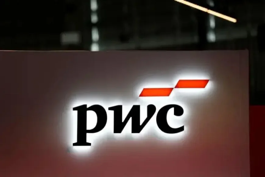 Pwc Probe Opens Over Digital 9 Infrastructure Audit