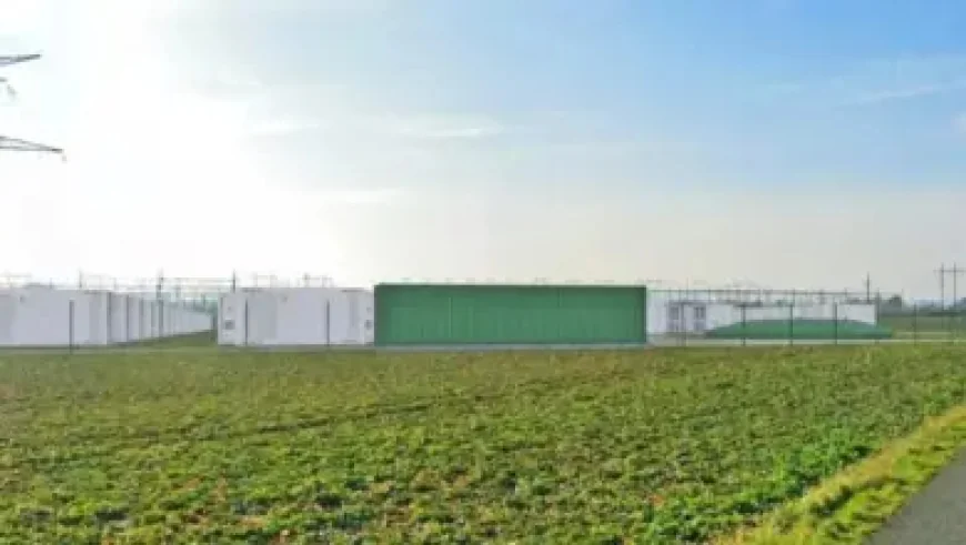 Snowbird and Florida’s shifting winter pull as 2025 approaches