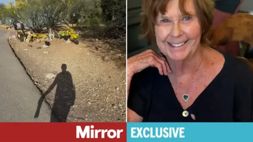 Taken at the Point of Scrutiny: Two Missing-Person Cases and the Pressure Around Them