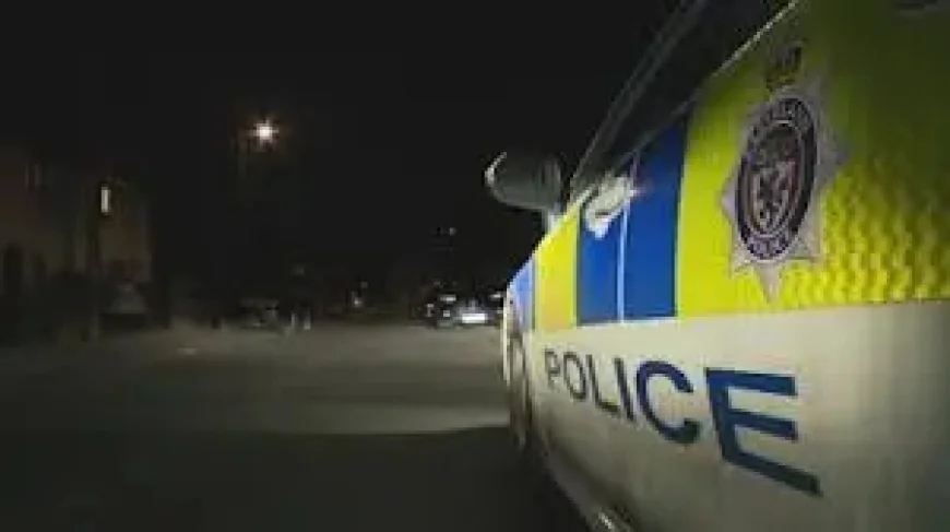 Child Dies in Redcar Dog Attack: 3 Things Police Have Confirmed