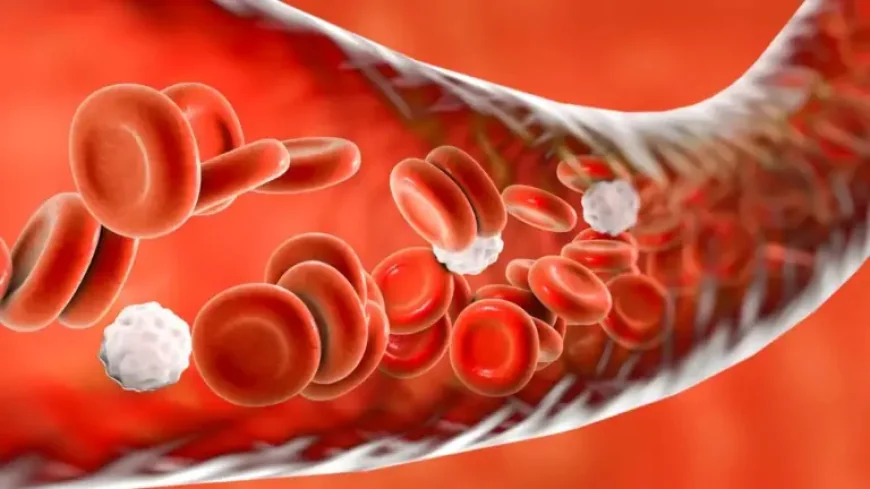 Hypertension and the Brain Region That May Change Treatment