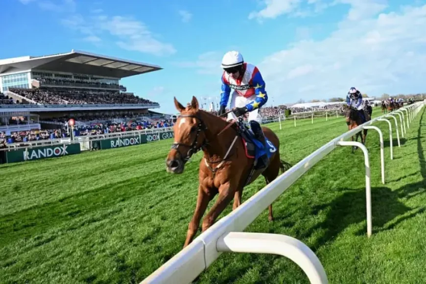 Aintree Results: 16-1 Grand National angle raises 3 key clues for Saturday
