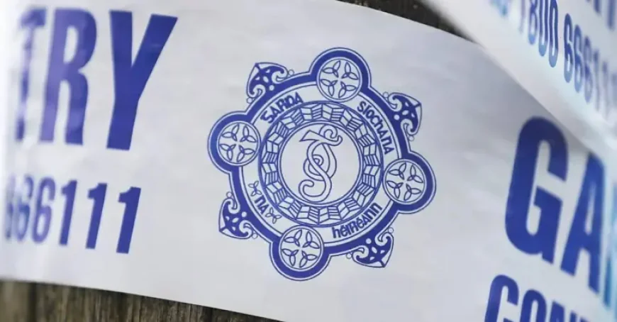 Liam Farrell exhumed in Leitrim as Garda cold case review intensifies