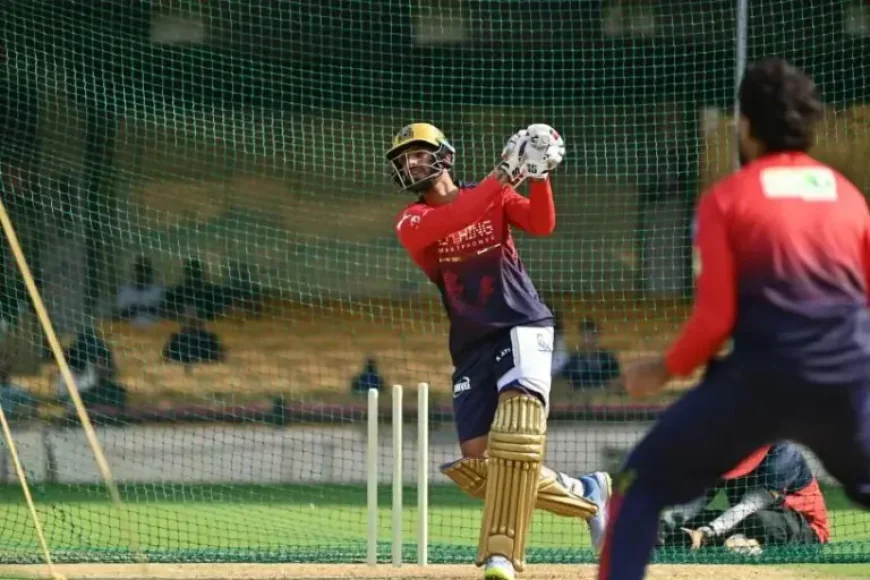 Romario Shepherd and RCB’s power-hitting edge lands in focus