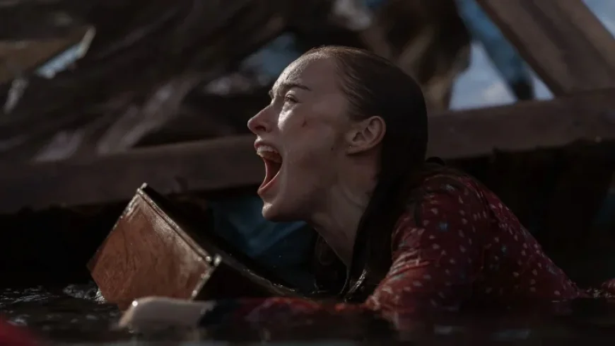 Netflix’s New Shark Thriller Delivers Exactly What Fans Desire