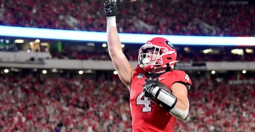 Top 6 Tight End Prospects for Patriots in 2026 NFL Draft