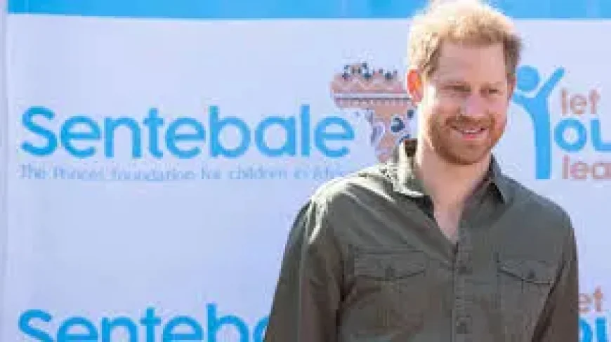 Sentebale Sues Prince Harry: 5 Key Details Behind the Defamation Claim