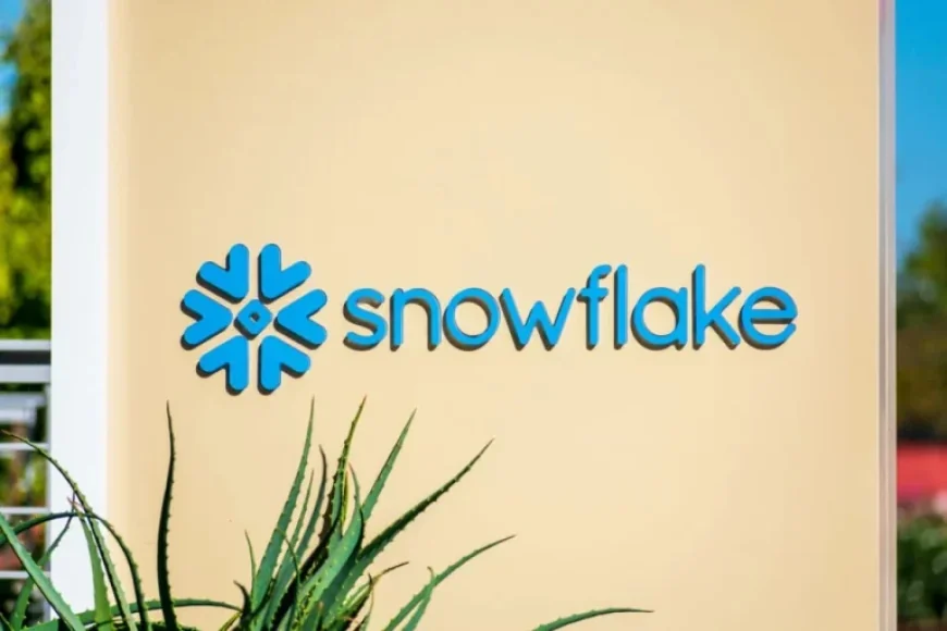 Snowflake Stock Plummets Thursday: NYSE:SNOW Analysis