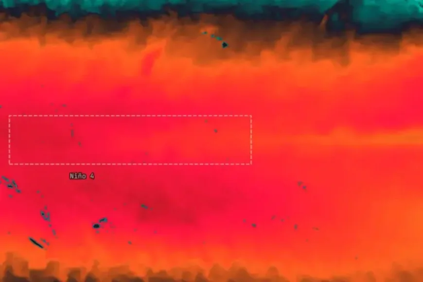 El Niño warning: models point to a stronger event by late 2026