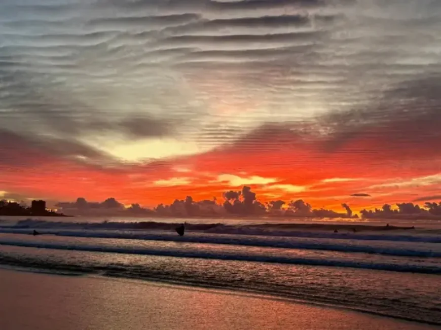 San Diego Pet Owners Brace for Anticipated Artemis II Sonic Boom