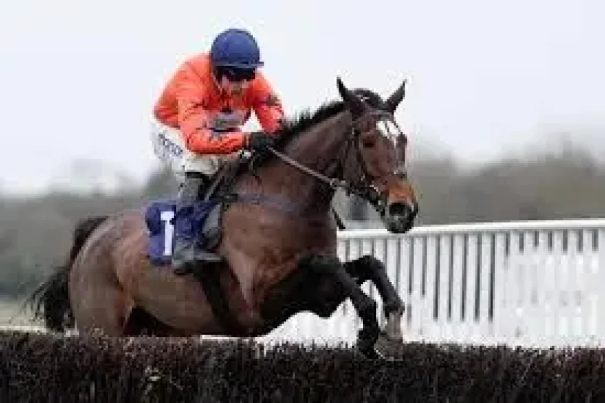 Panic Attack Horse and the 75-Year Grand National Question: Can One Mare Rewrite History?