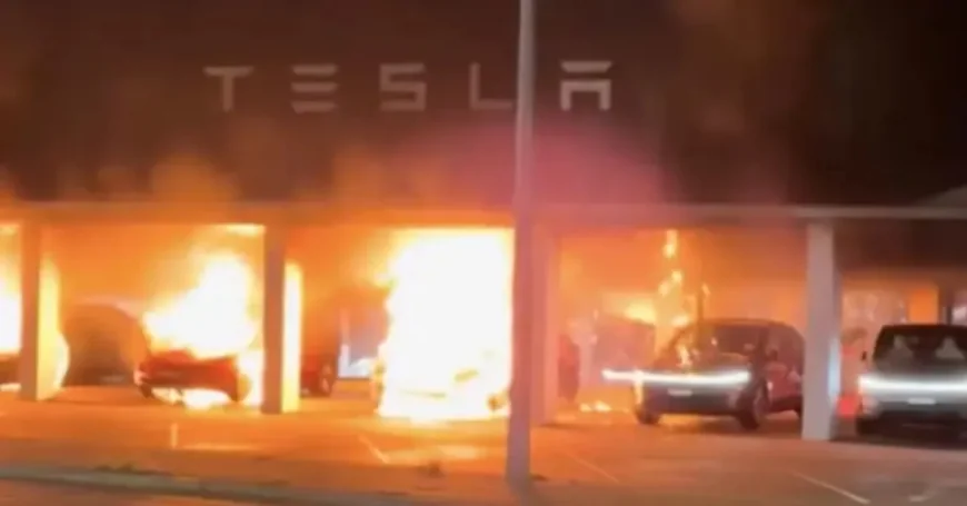 Fire Sydney: Parramatta showroom blaze leaves a city facing the human cost of protest and arson