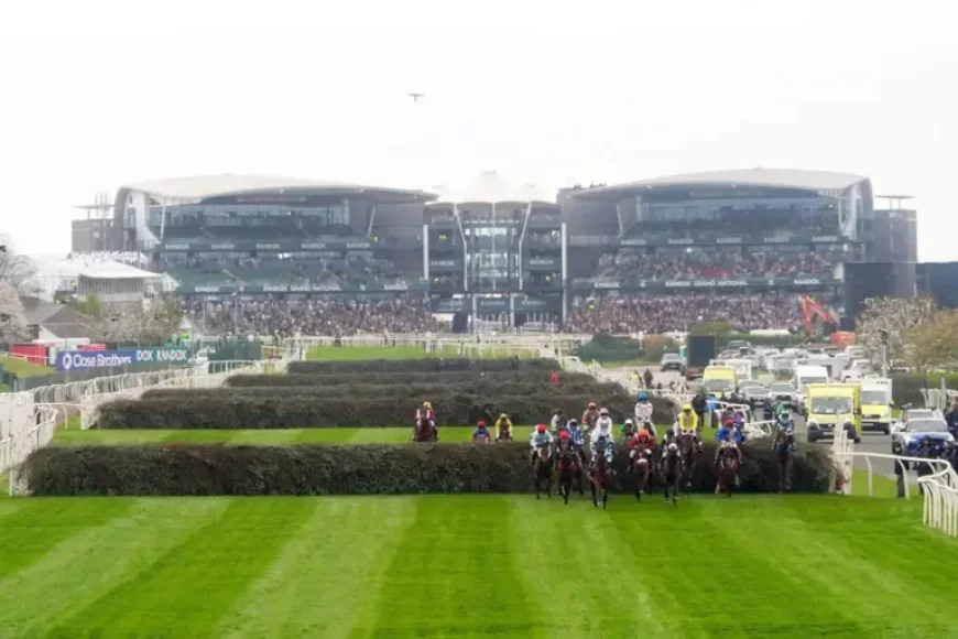 Jagwar Horse and the 3 clues behind an English Grand National revival