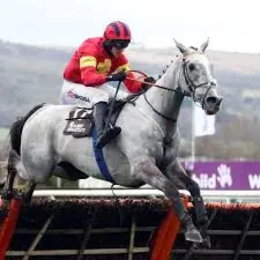 Marble Sands Horse and the 1-in-10 grey factor behind Grand National betting
