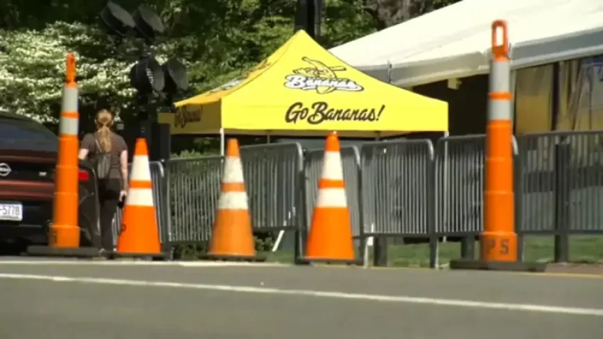 Savannah Bananas Chapel Hill: 50,000-Fan Weekend Could Redefine Kenan Stadium