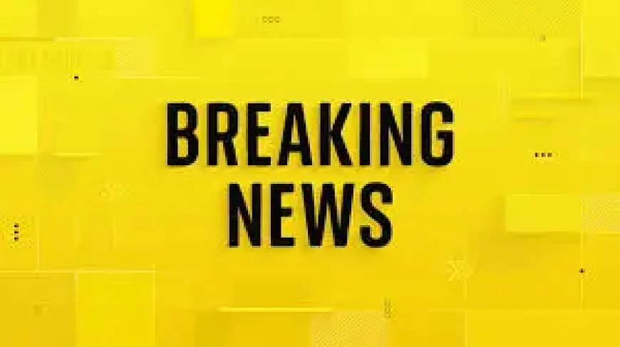 Dunmow dog attack investigation raises 3 urgent questions after 19-year-old dies