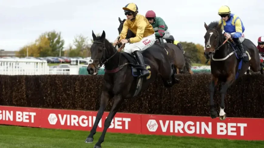 Montys Star in Aintree spotlight as Grand National tips firm up