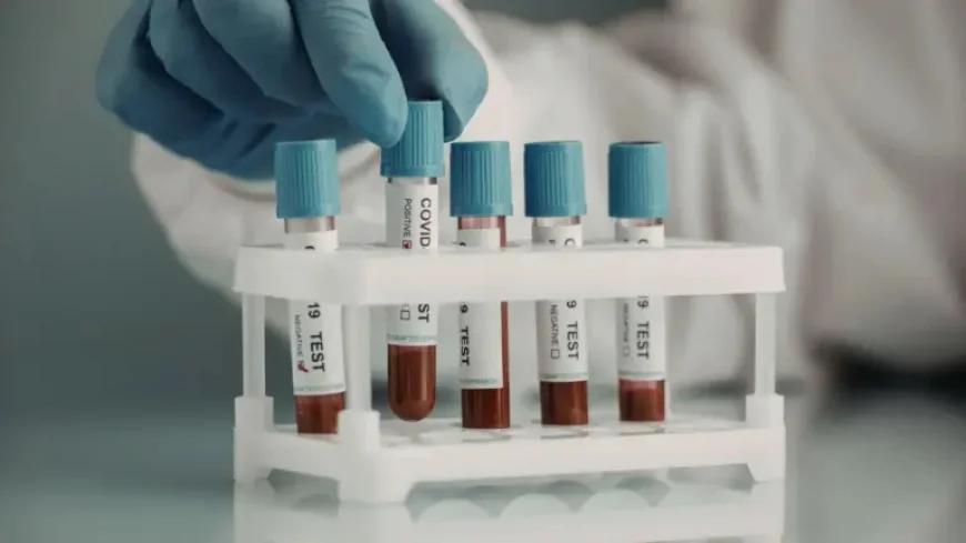 Jenn Todryk Shares Health Update as Thyroid Results Improve