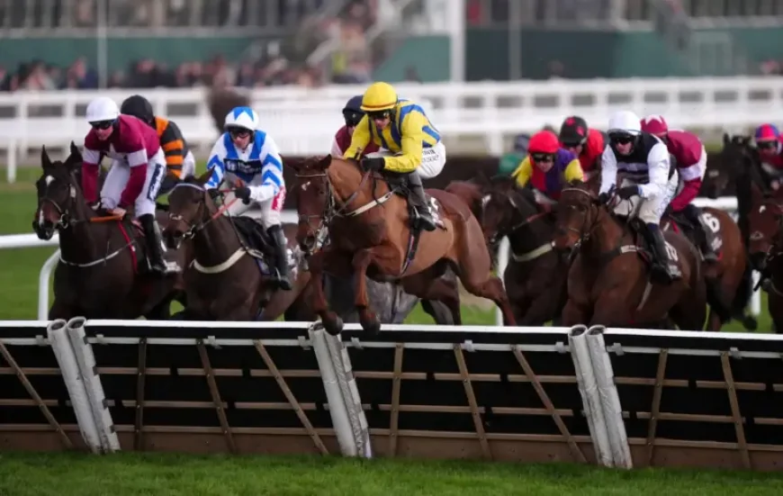 Firefox Horse: Grand National odds and stamina questions at Aintree
