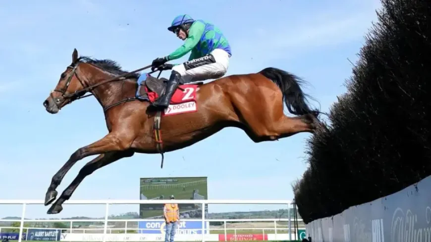 Champ Kiely Horse emerges as Patrick Mullins flags value option for Randox Grand National 2026