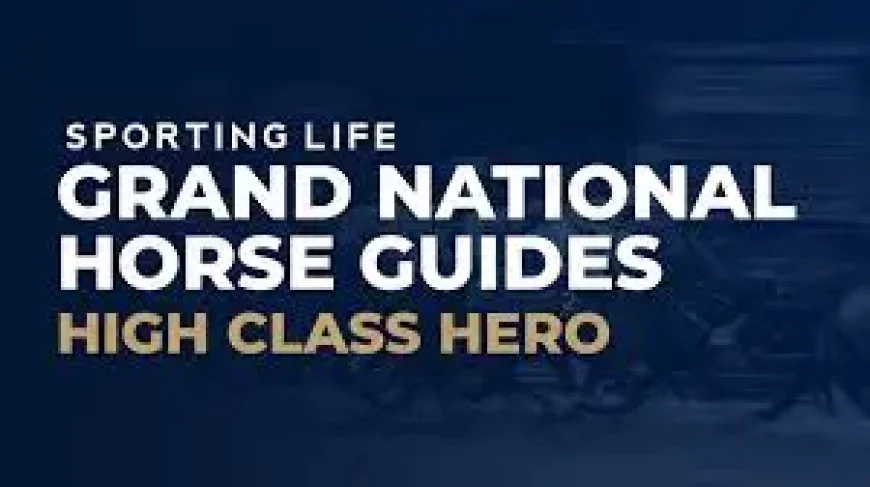 High Class Hero Horse and 3 Warning Signs for the 2026 Grand National