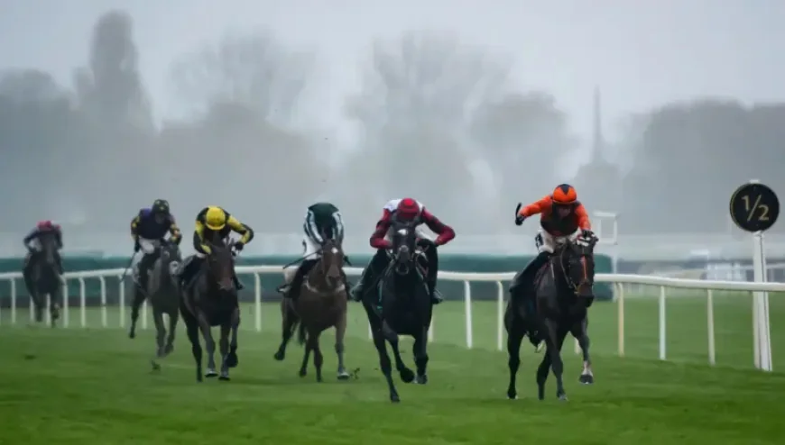 Lecky Watson Horse: 5 Red Flags Ahead of the 2026 Grand National