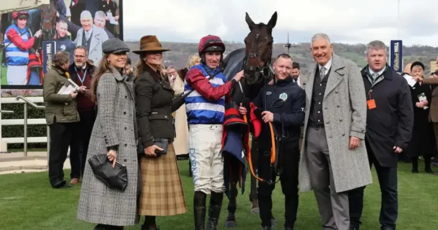 Three Card Brag: Reading businessman backs Grand National outsider