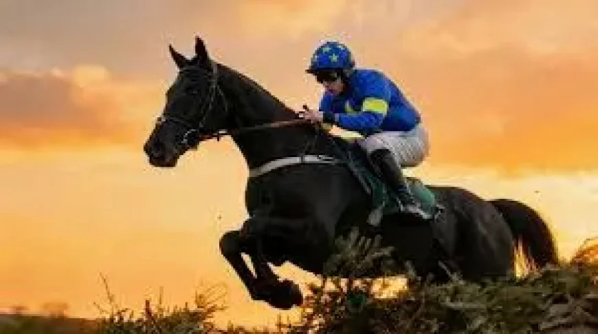Jordans Horse: 5 reasons Banbridge is drawing local interest before the Grand National