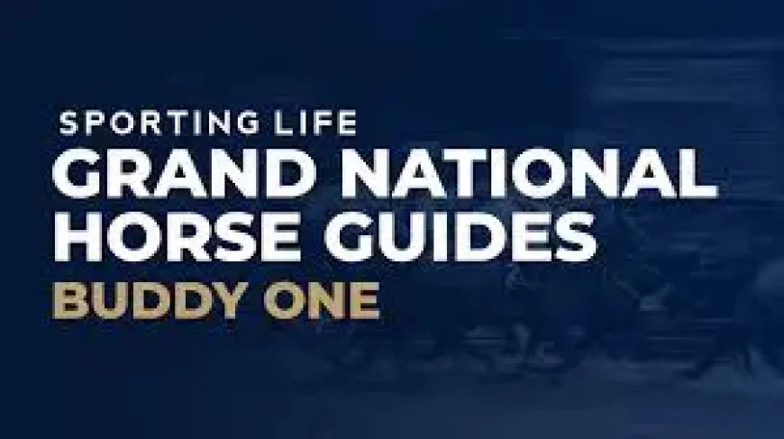 Amirite: 80/1 Late Reserve Adds a Twist to Grand National 2026