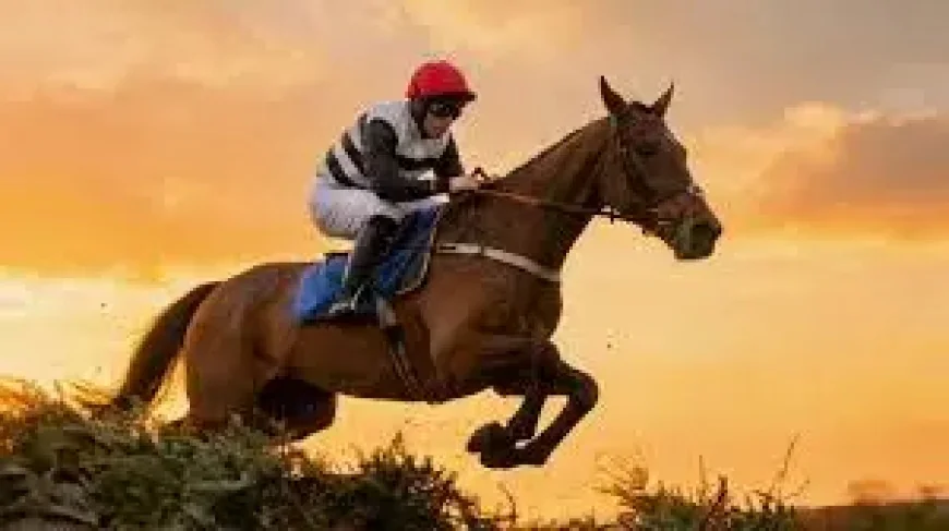 Ginger Mccain and Top Of The Bill: can a new Grand National dream take shape?