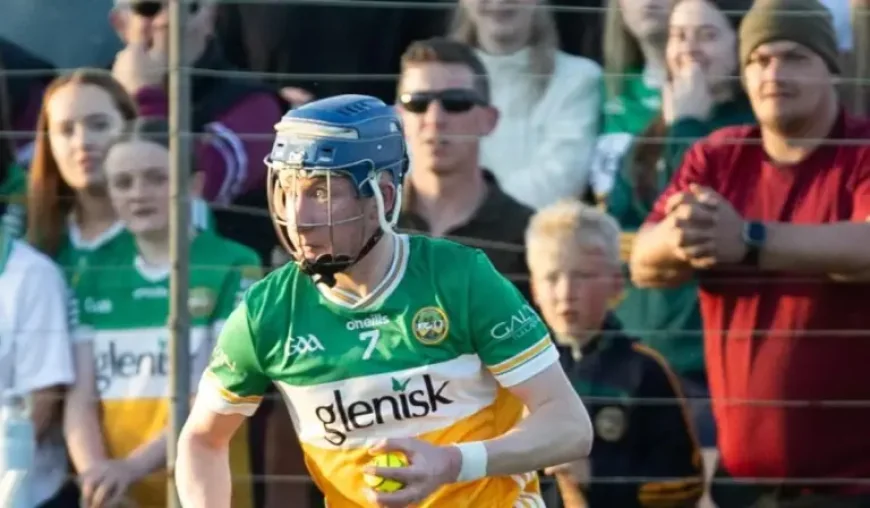 Laois Gaa Twitter and 3 key Offaly lessons from a derby win in Portlaoise