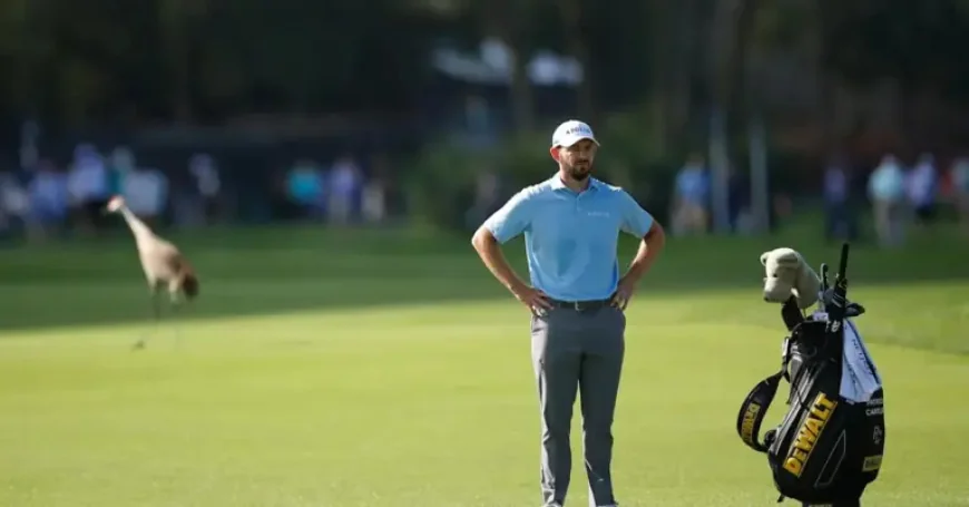 Patrick Cantlay betting profile: Masters Tournament exposes a bigger question than one finish