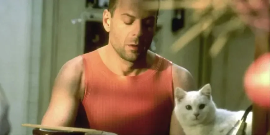 Bruce Willis and the Netflix Revival of The Fifth Element as 2026 Approaches