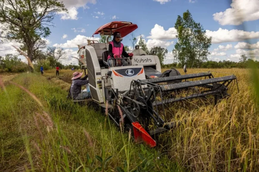 Iran War Fuels Shortages Threatening Asia’s Major Food Staple
