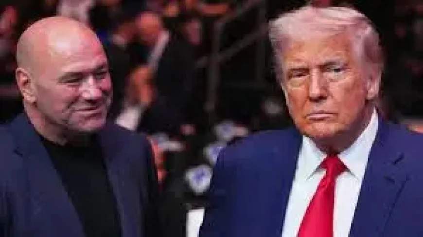 Trump’s Ufc Freedom 250 Reveals a White House Event Built on Spectacle and Contradiction