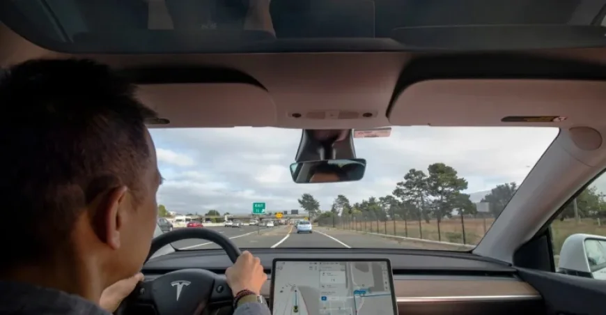 Netherlands Approves Tesla’s Supervised Full Self-Driving, First in Europe