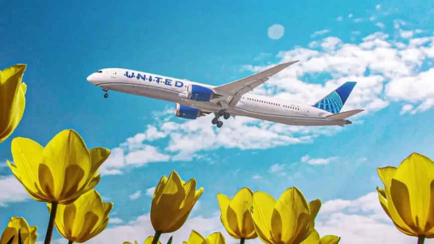Boeing and United’s ultra-long routes push U.S. flying farther than ever