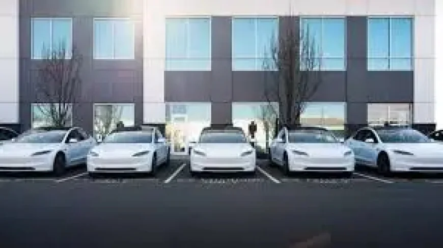 Byd Electric Car Pressure Builds as Tesla Gains a Near-Term Edge