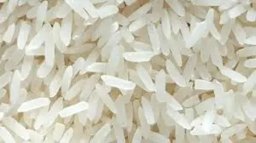 Lundberg White Rice Recall: 4,500 Cases Pulled Nationwide Over Possible Foreign Material