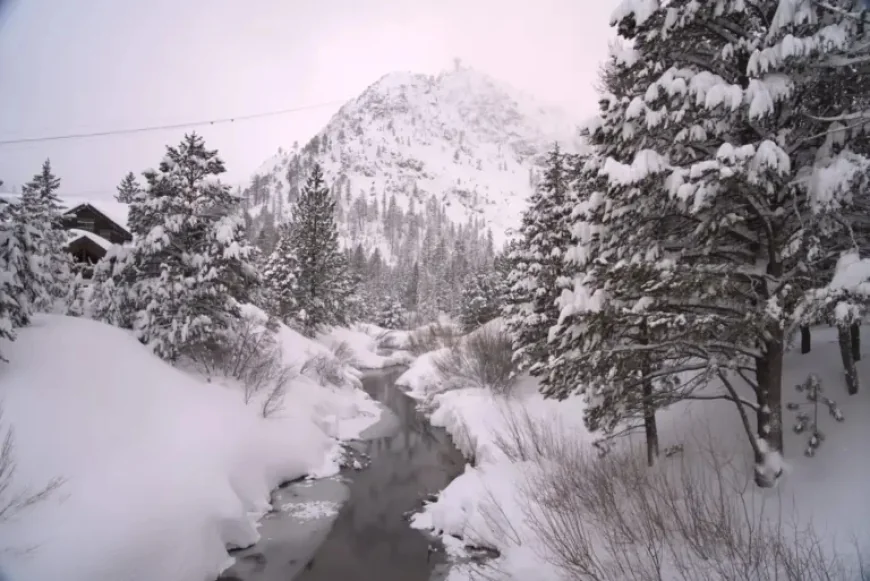 Winter Storm Warning Sierra Nevada Leaves Drivers Facing a Whiteout Test